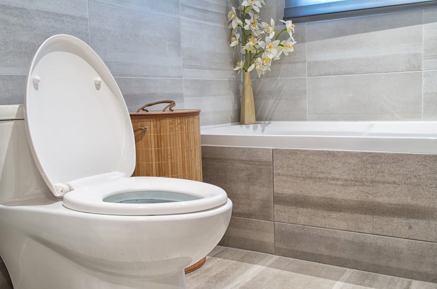 Contemporary bathroom interior with toilet and bathtub